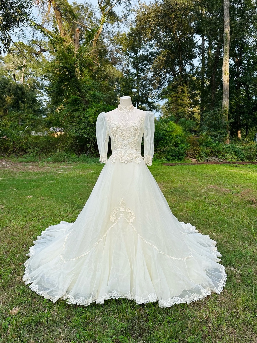 Ivory Lace Tulle A-Line Dress with Puff Sleeves